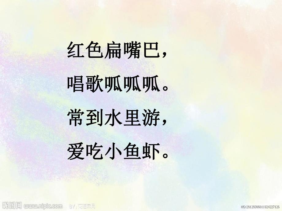 中班美术活动《小鸭子》PPT课件中班美术活动《小鸭子》PPT课件.ppt_第3页