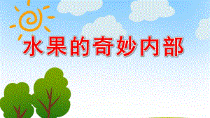 水果的奇妙内部PPT课件教案图片科学：水果的奇妙内部.pptx