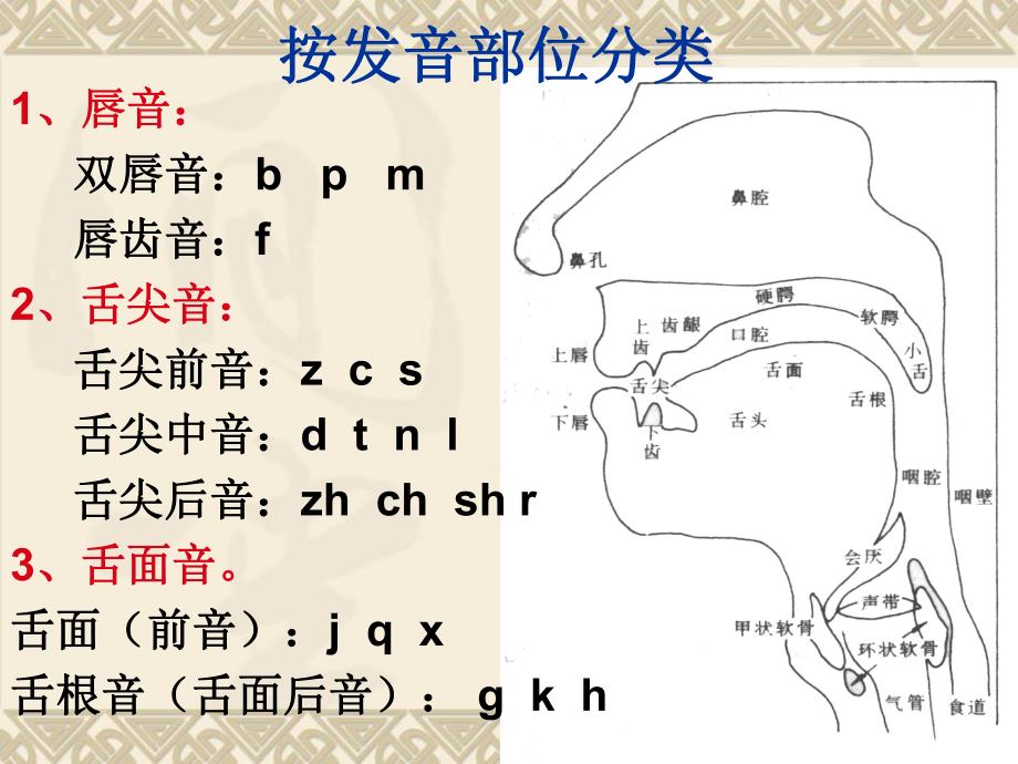 幼儿园普通话声母分析与训练PPT课件普通话声母分析与训练(详细版.pptx_第3页