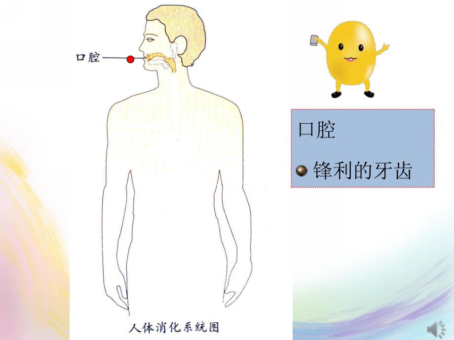 幼儿园《小豆子的旅行》PPT课件教案PPT课件.pptx_第3页