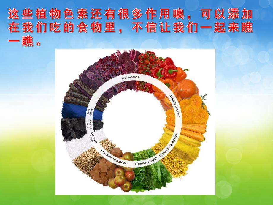 幼儿园有趣的植物色素PPT课件教案PPT课件.pptx_第3页