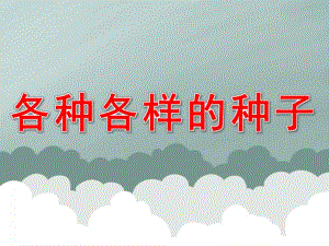 中班科学《各种各样的种子》PPT课件教案PPT.ppt