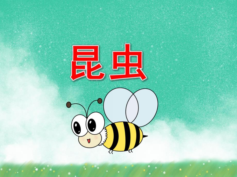 幼儿园昆虫PPT课件教案PPT课件.pptx_第1页