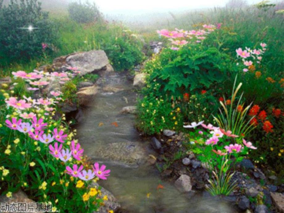 中班语言《小河和白鹅》PPT课件小河和白鹅.ppt_第3页