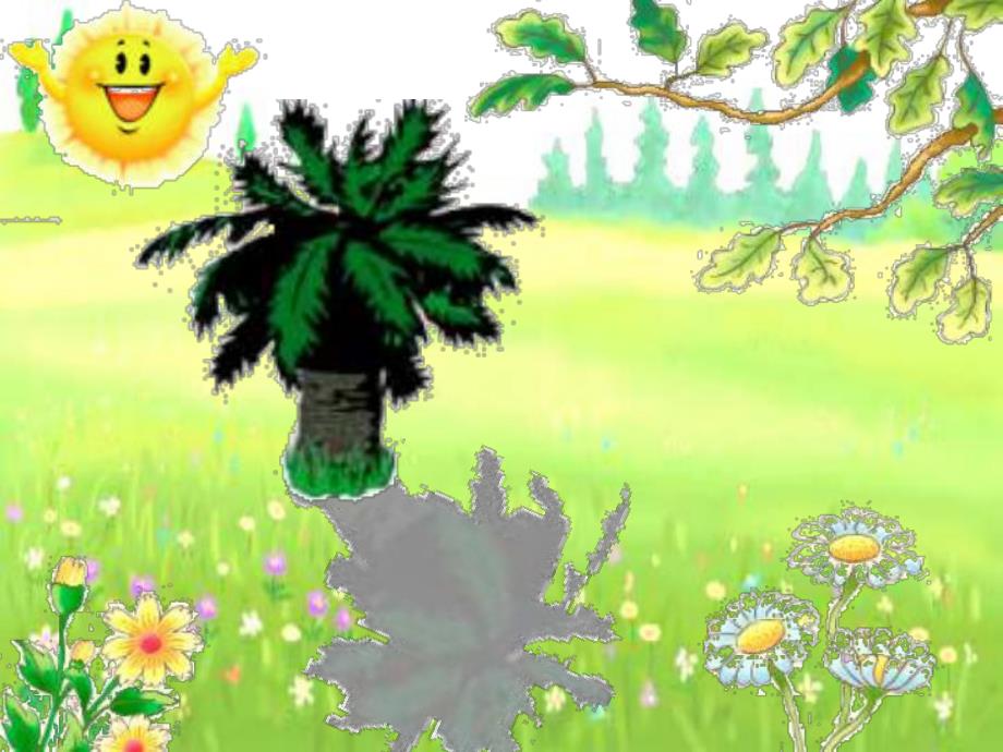 中班语言故事《小熊找树荫》PPT课件教案小熊和树荫.ppt_第2页