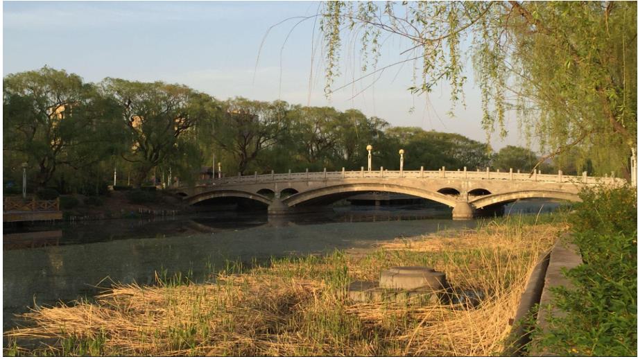 中班美术活动《美丽的桥》PPT课件教案明天版幼儿园中班美术活动《美丽的桥》课件.ppt_第3页