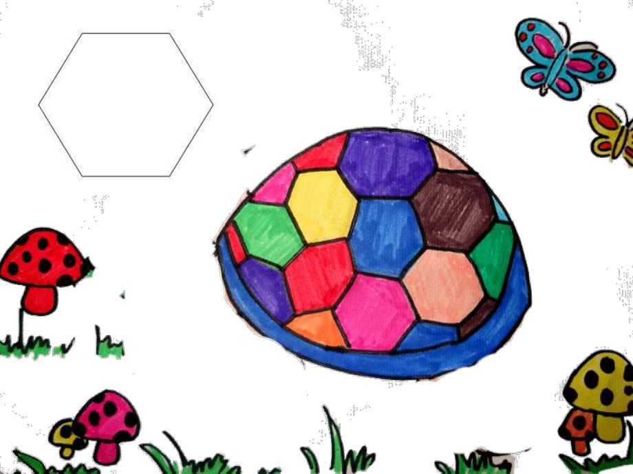 打扮小乌龟PPT课件教案图片美术：乌龟.pptx_第2页