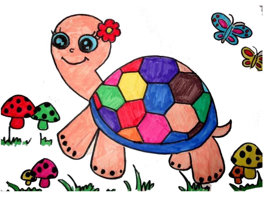 打扮小乌龟PPT课件教案图片美术：乌龟.pptx_第3页