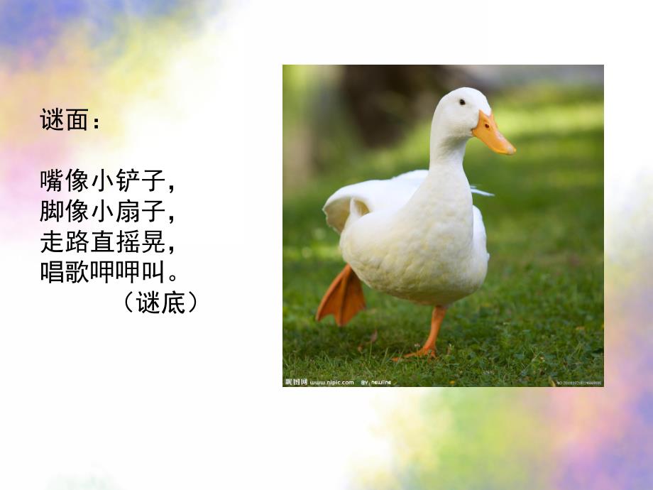 中班活动《猜猜我是谁》PPT课件教案中班--猜猜我是谁.ppt_第2页