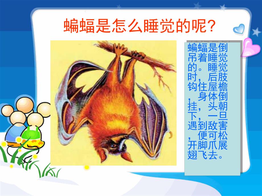 睡觉的动物PPT课件教案图片小动物睡觉PPT.pptx_第3页