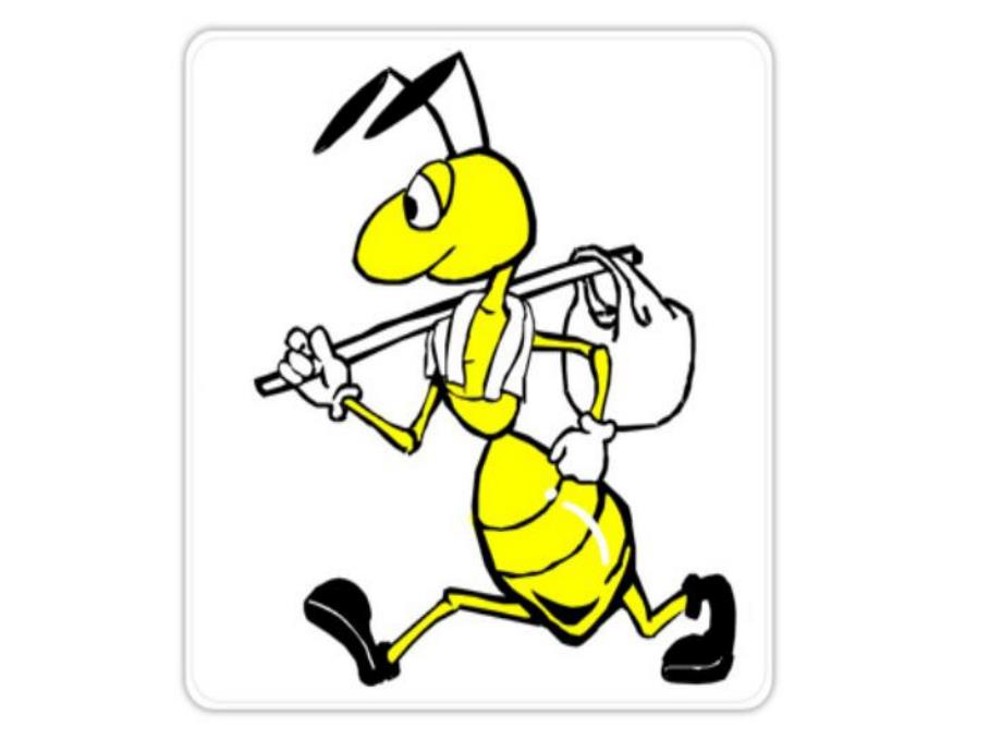 小班语言《蚂蚁搬虫虫》PPT课件教案PPT课件.pptx_第3页