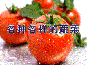 幼儿园《各种各样的蔬菜》PPT课件教案13泥塑-各种各样的蔬菜.pptx