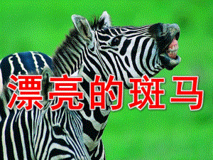 中班美术《漂亮的斑马》PPT课件教案斑马.ppt