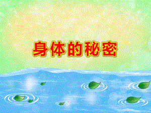 身体的秘密PPT课件教案图片PPT课件.pptx