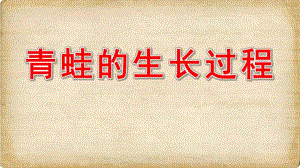 中班科学《青蛙的生长过程》PPT课件青蛙的生长过程.ppt