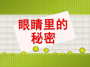眼睛的秘密PPT课件教案图片大班健康眼睛的秘密.pptx