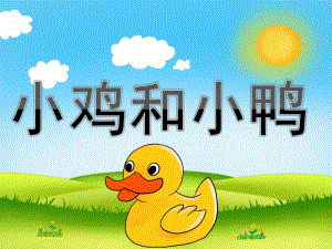 小班科学优质课《小鸡和小鸭》PPT课件教案PPT课件.pptx