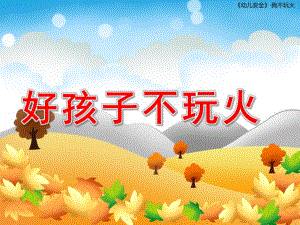 小班语言《好孩子不玩火》PPT课件教案我不玩火.pptx