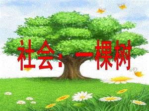 中班社会《一棵树》PPT课件社会：一棵树.ppt