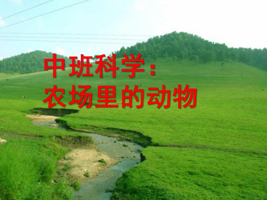 中班科学《农场里的动物》PPT课件中班科学：牧场里的动物.ppt_第1页