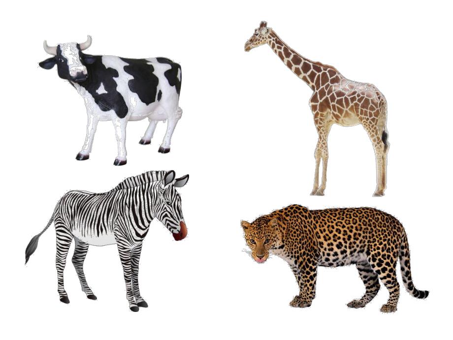 中班数学活动《谁的花纹》PPT课件教案PPT课件.ppt_第2页