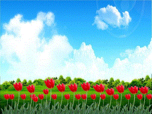 小班语言《熊宝宝的小芽芽》小班语言《熊宝宝的小芽芽》课件.pptx