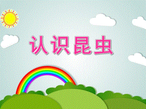 美丽的昆虫——认识昆虫课件PPT教案.pptx