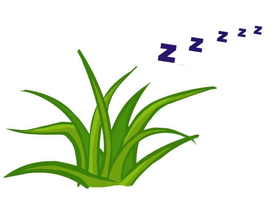 小班诗歌《梦》PPT课件教案诗歌《梦》.pptx_第2页