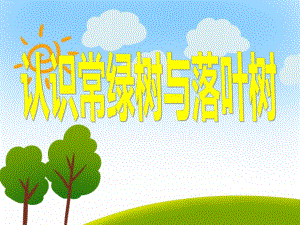 中班科学《认识常绿树与落叶树》PPT课件教案PPT课件.ppt