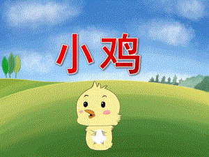 小班科学《小鸡》PPT课件教案PPT课件.pptx