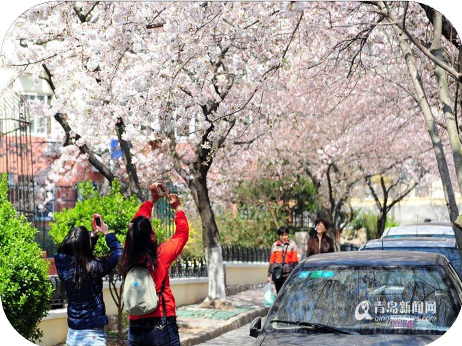 幼儿园美术设计春游计划PPT课件教案《春游计划》课件.pptx_第3页