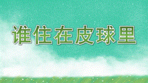 谁住在皮球里PPT课件教案图片谁住在皮球里PPT----.pptx