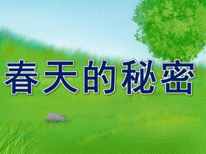 春天的秘密PPT课件教案图片PPT课件.pptx