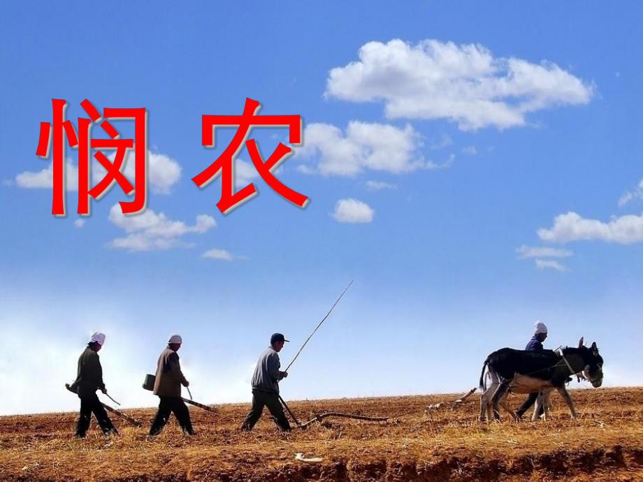 幼儿园悯农PPT课件教案幼儿园悯农.pptx_第1页