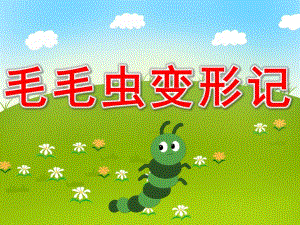 毛毛虫变形记PPT课件教案图片PPT课件.pptx
