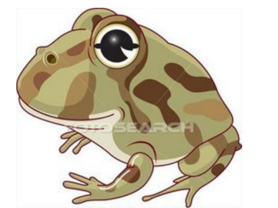 中班语言活动《有朋友真好》PPT课件教案PPT课件.ppt_第3页