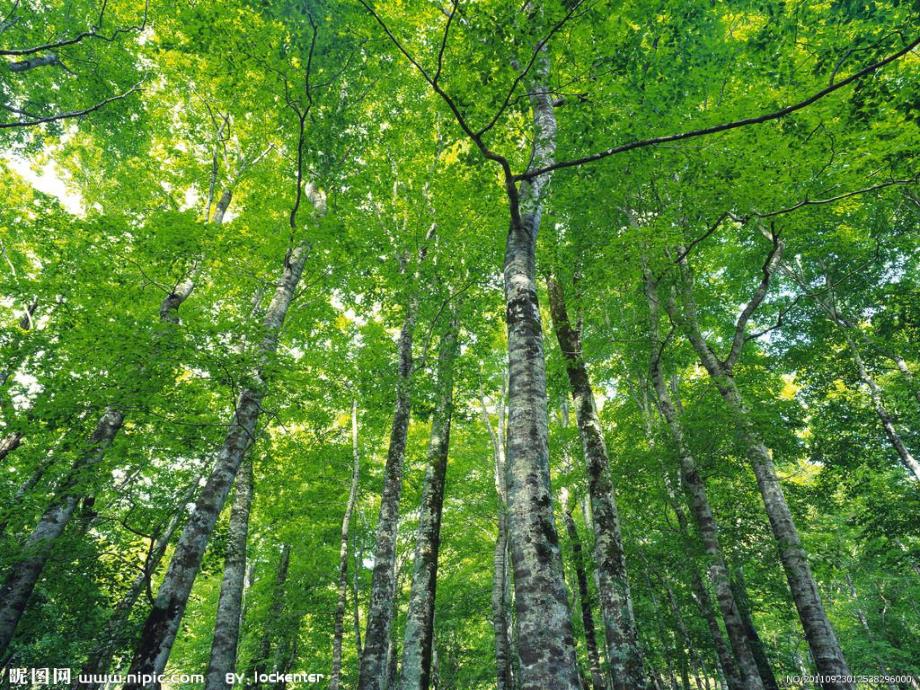 中班语言《家》课件PPT教案中班语言《家》.ppt_第3页