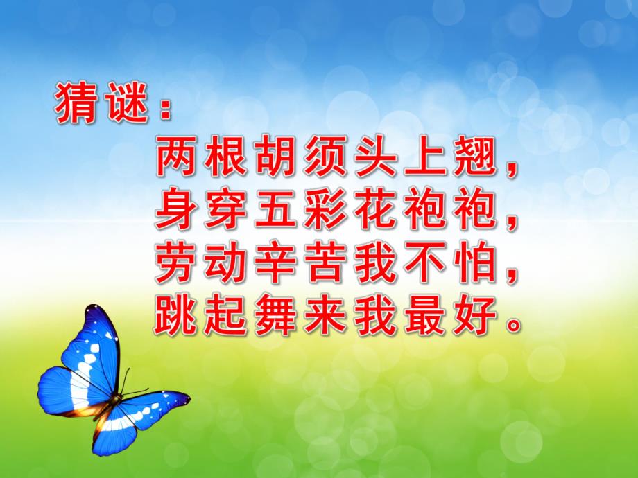 中班美术《美丽的蝴蝶》PPT课件教案音乐PPT课件.ppt_第3页