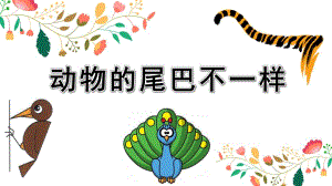 动物的尾巴PPT课件教案图片中班科学活动课《动物的尾巴》PPT课件.ppt