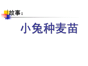 中班语言《小兔种麦子》PPT课件教案小兔种麦子.ppt
