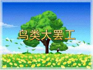 中班社会《鸟类大罢工》PPT课件教案中班社会《鸟类大罢工》课件.ppt