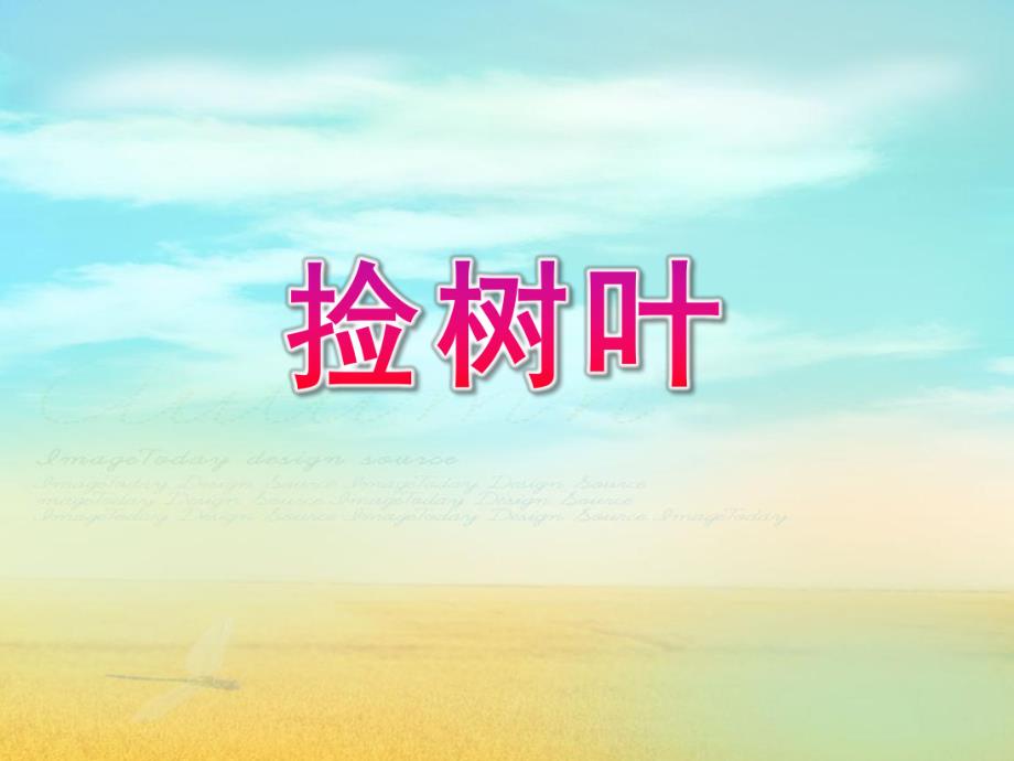 中班诗歌《捡树叶》PPT课件中班树叶.ppt_第1页