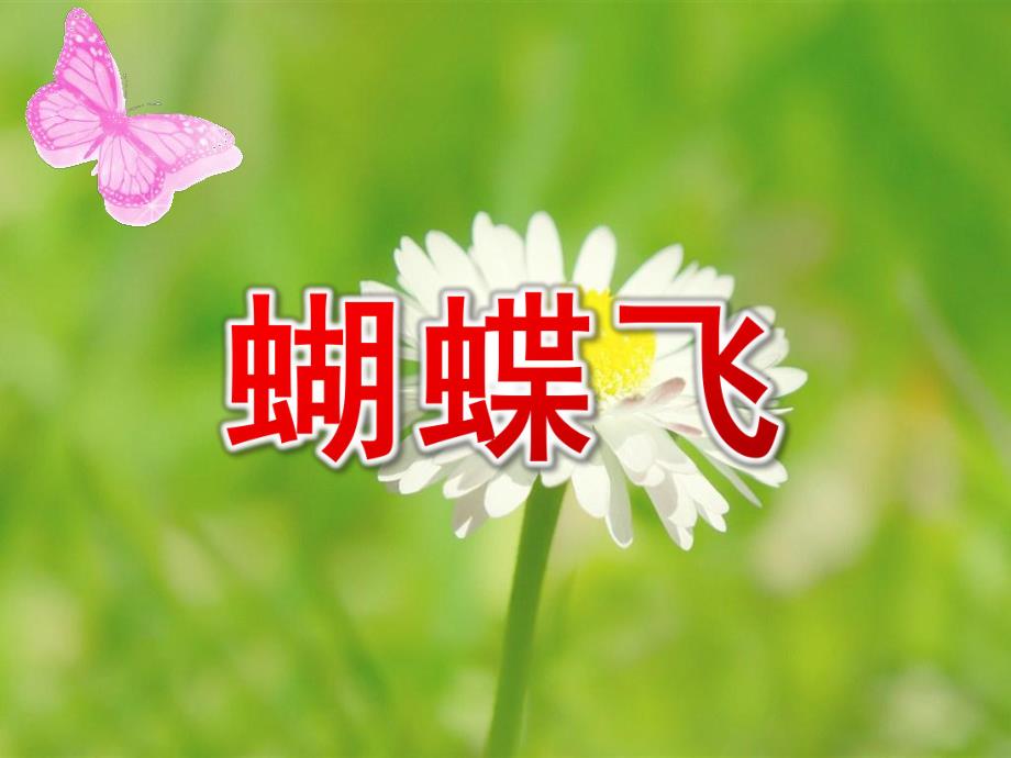 中班《蝴蝶飞》PPT课件蝴蝶飞 中班.ppt_第1页
