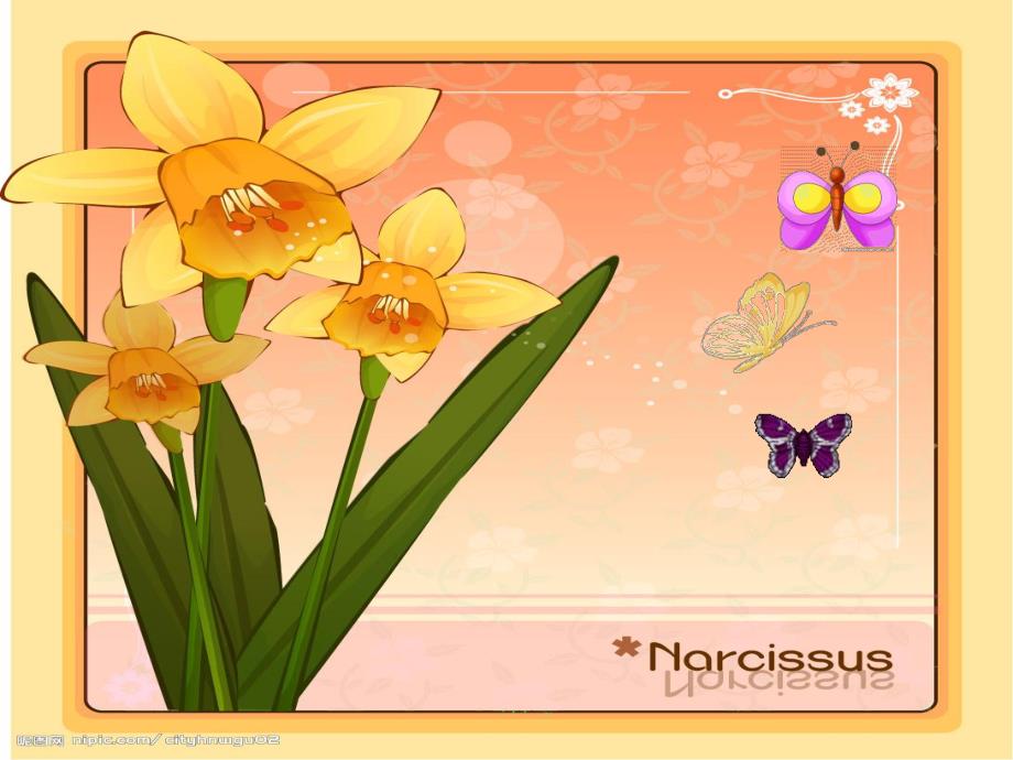 中班《蝴蝶飞》PPT课件蝴蝶飞 中班.ppt_第3页