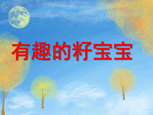 中班科学活动《有趣的籽宝宝》PPT课件教案幼儿园中班科学《有趣的籽宝宝》.ppt