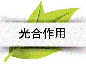 幼儿园光合作用PPT课件幼儿园光合作用PPT课件.pptx