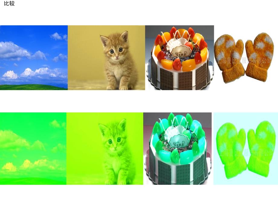 小班语言《绿色的世界》PPT课件教案PPT课件.pptx_第3页