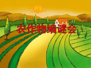 中班语言活动《农作物编谜会》PPT课件教案PPT课件.ppt