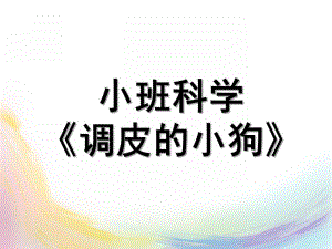 小班科学《调皮的小狗》PPT课件教案小班调皮的小狗.pptx