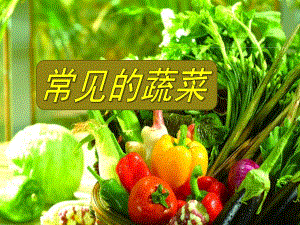 幼儿园健康教育《常见的蔬菜》PPT课件教案常见的蔬菜.pptx